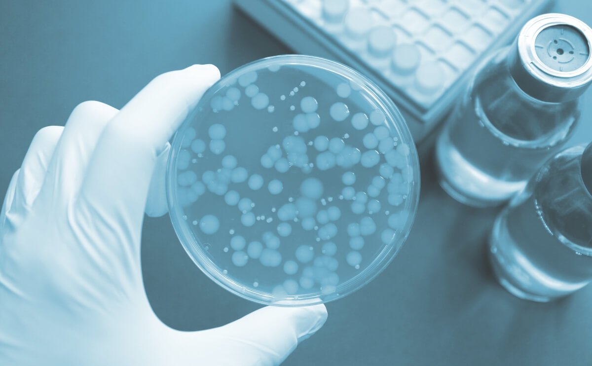 ¿Estás Consumiendo Contaminantes sin Saberlo?