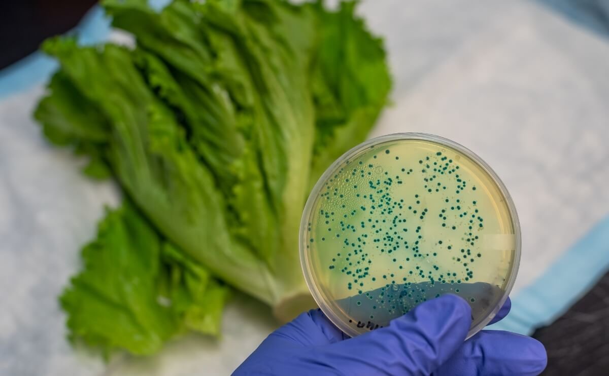 Microplásticos en el Agua: El Enemigo Invisible que Ya Está en Tu Cuerpo
